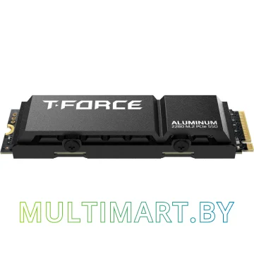 SSD диск Team T-Force G70 PRO 1TB (TM8FFH001T0C128)
